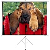 Projector Screen with Stand 100' - Projector Screen Pull Down and Projection Screen with Stand - This Screen is The Best Indoor Movie Screen with Stand - Indoor Screen