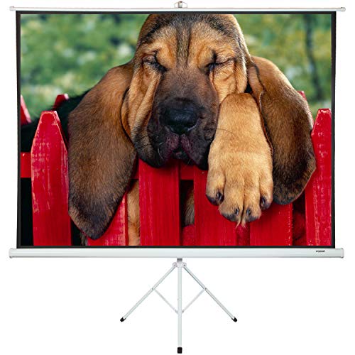 Projector Screen with Stand 100" - Projector Screen Pull Down and Projection Screen