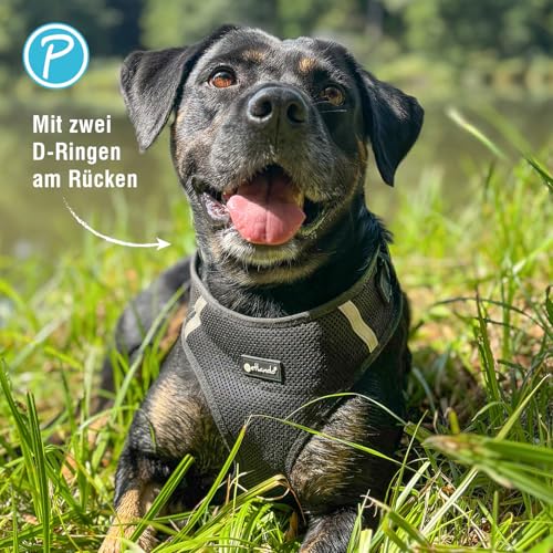 Petlando Hundegeschirr Mesh Vest, leichtes Brustgeschirr aus weichem Mesh & Nylon, stufenlos verstellbar, reflektierend mit 2 D-Ringen, Schwarz M, Welpengeschirr mitwachsend