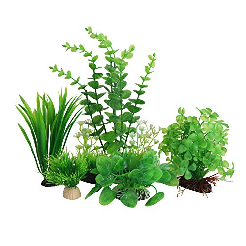 Top 10 Best Looking Fake Aquarium Plants Reviews & Buying Guide Katynel
