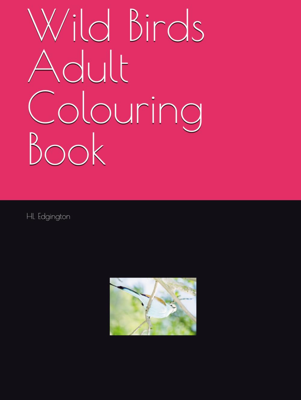 Wild Birds Adult Colouring Book