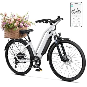 best bike rack for electric bikes with fenders