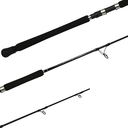 Shimano terez saltwater spinning rod Clearance