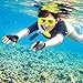 FitsT4 Sports Half Finger Padded Palm Gloves for Diving, Sailing, Jet Skiing, Stand-UP Boarding, Kayaking and Water Skiing, Suitable for Men&Women&Youth Black L