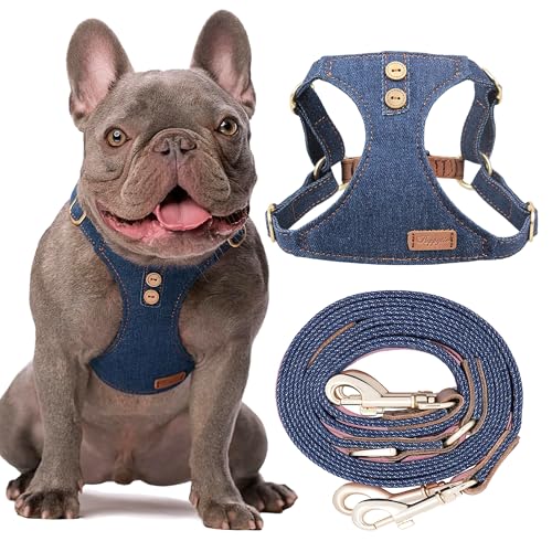 No Pull Small Dog Harness with Multifunction Dog Leash,Lightweight Soft Adjustable No Choke Escape