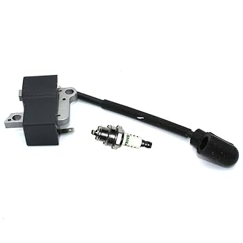 コニャ Amazon.com: Igniton Module with Spark Plug BM6A for