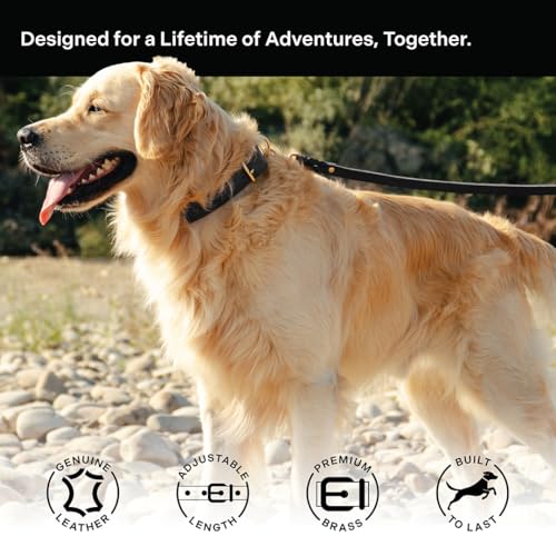 Image of Classic Genuine Leather Dog Collar | Dog Collars for Medium Dogs, Small Dogs, Large Dogs & Extra Large Dog | Wide Dog Collar | Heavy Duty Collar | Black (L: 1.2 inch Wide for 16 inch-18.5 inch Neck)