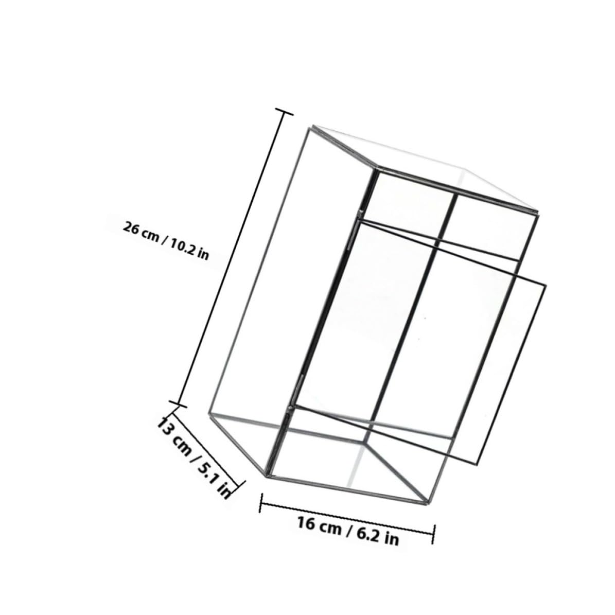 Terrario de Vidrio para Plantas de Mesa Negro, Contenedor de Terrario | Terrarios Plantas de Vidrio, para Suculentas y Flores, Uso en Casa y Decoración de Habitación