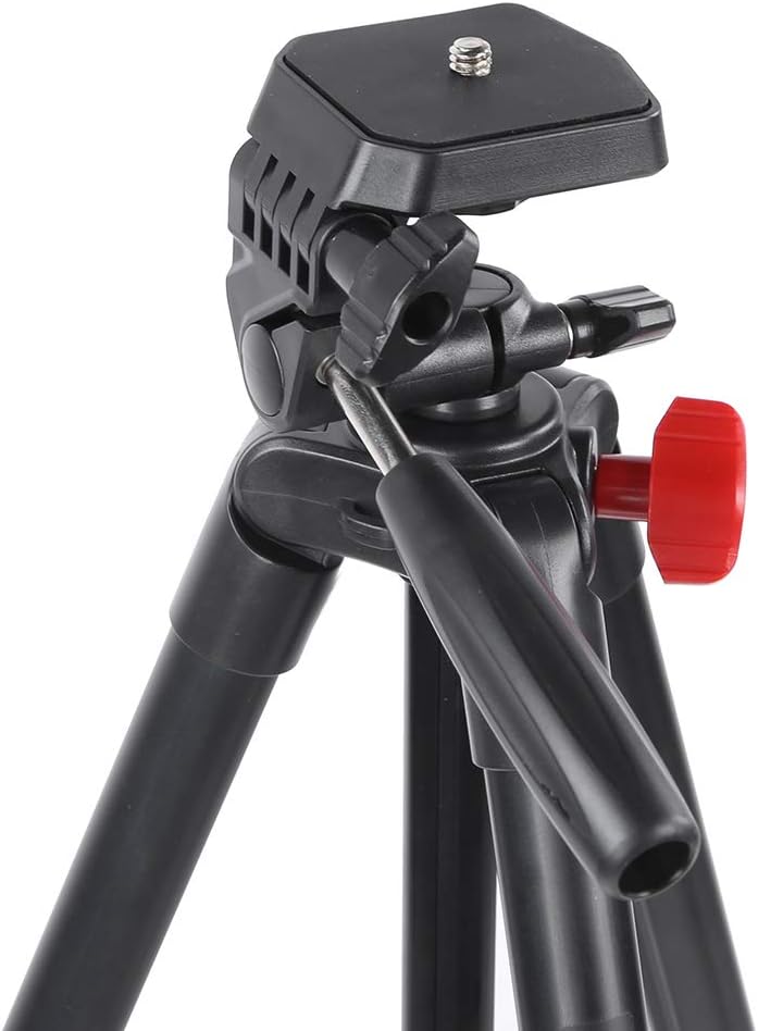 Close-up of the tripod head with quick release plate