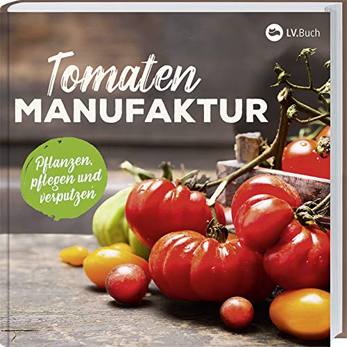 Preisvergleich Produktbild Tomaten-Manufaktur: Pflanzen, pflegen und verputzen