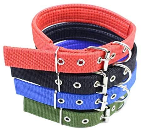Collier en nylon rembourré pour promener votre chien en ville comme en forêt