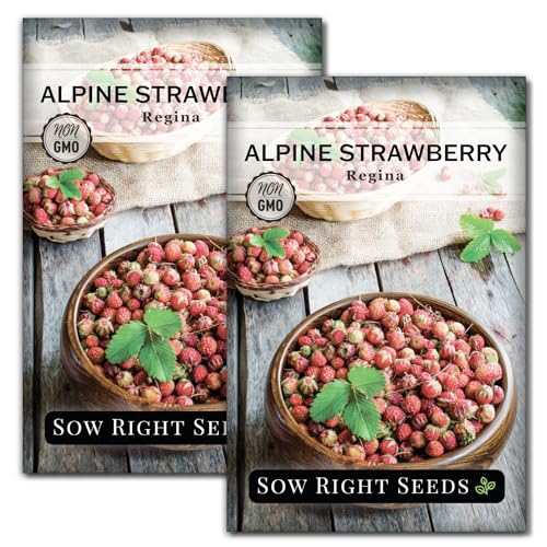 Sow Right Seeds - Regina Alpine Strawberry Seeds for Planting - Non-GMO Heirloom Packet with...