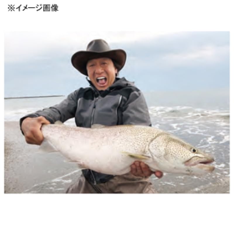 Amazon.co.jp: ウォーターランド(Water Land) アンダートゥイッチャー