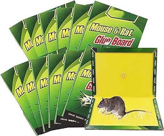 Mouse traps pack of 10 - glue traps for mouse - HIGHLY EFFECTIVE - RAT TRAP GLUE STICKY BOARD FOR MOUSe - COCKROACHES - SPIDERS - Non-toxic Eco-Friendly