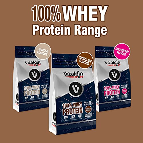 VITALDIN-SPORT-100-Whey-Protein-500-g--100-Proteina-de-Suero-de-Leche-en-polvo-con-Digezyme--Aumento-y-Proteccion-Muscular--Sabor-Chocolate--65-g-de-BCAA-por-serving--Sin-Azucares-Anadidos