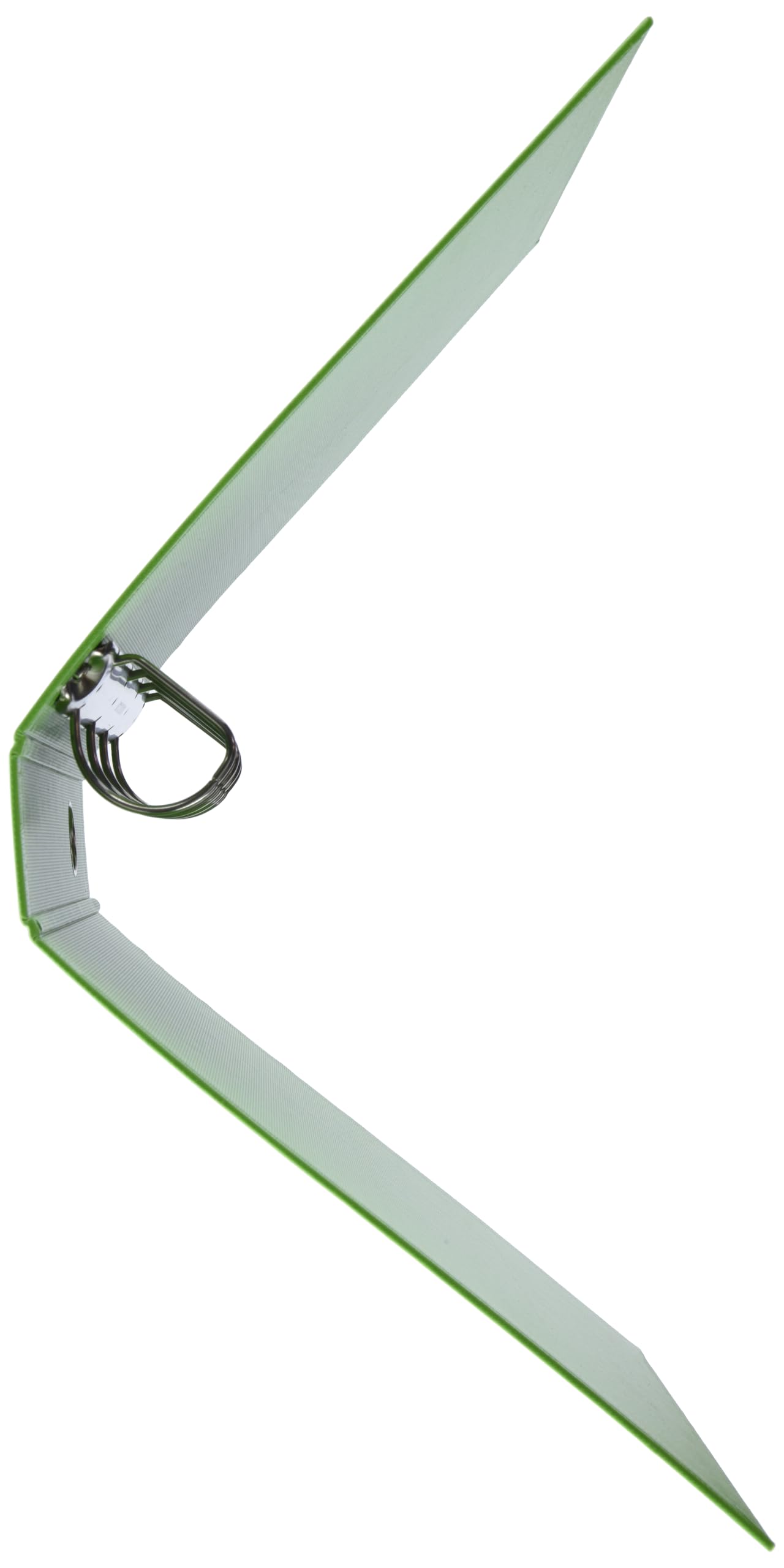 Esselte Ringordner mit 4 D-Ringe, A4, 40 mm 1 grün