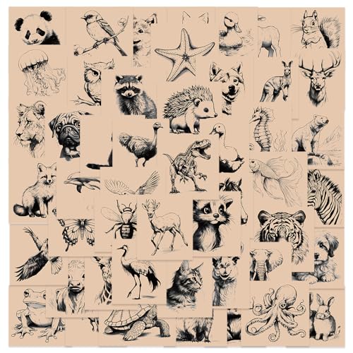 50Zbg CA[g XPb` A` fbT A[gCXg XebJ[ h fJ[   lC m[gp\R p\R Xm{ XP[g{[h ו X[cP[X M^[  X}zP[X XP{[ J[