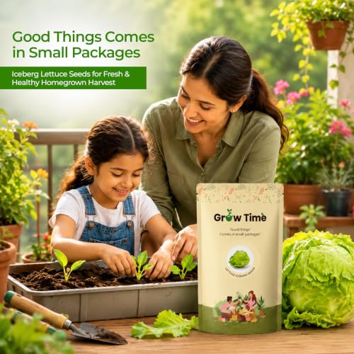 Image of Lettuce Iceberg Vegetable Seeds, Vegetable Seeds for Home Gardening, Vegetable Planting Seeds for Kitchen, Lettuce Iceberg Seeds (Green, Pack of 2g)