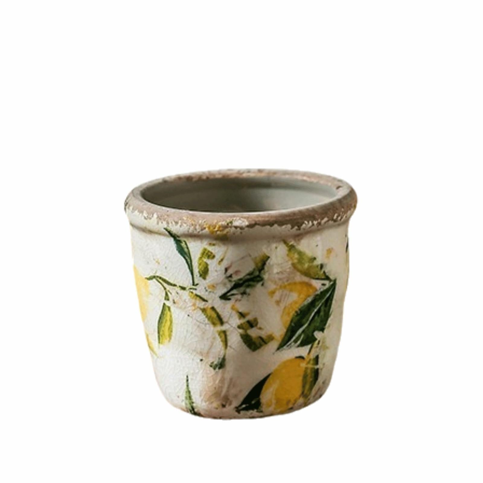 Jardinière pour plantes succulentes et pot de fleurs amusant à motif citrons de 18,5 cm