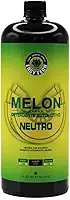 Shampoo Melon Automotivo Concentrado 1:400 Easytech 1,2L