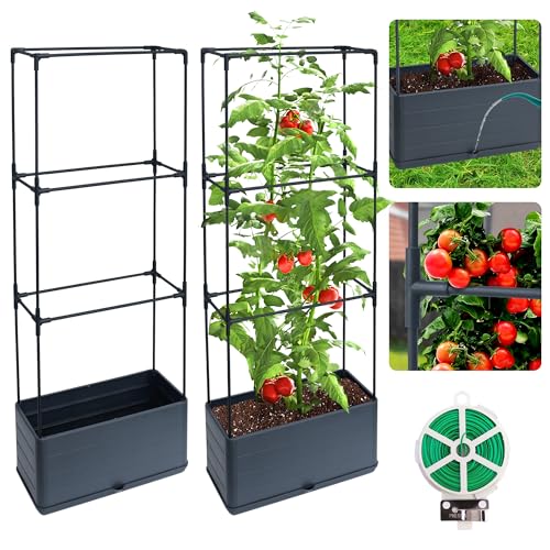 2 Packs Raised Garden Bed Tomato Planter Box with...