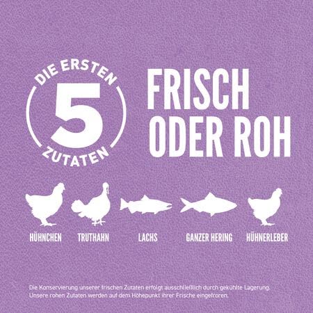 Orijen Kitten | Doppelpack | 2 x 340 g | Alleintrockenfutter für Katzen | Kann dabei helfen Kitten optimal zu versorgen | Enthält 15 frische oder rohe Zutaten | Mit Geflügel
