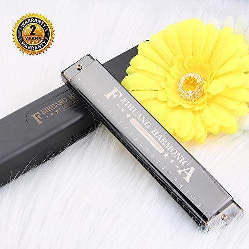 Harmonica for Beginners,C Key 24 Holes Major Diatonic Double Tremolo Harmonicas with Case