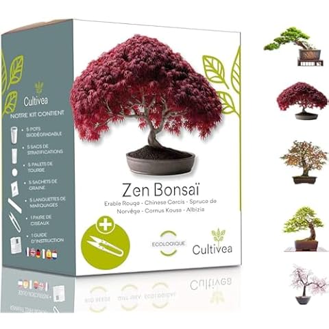 Kit Bonsaï CULTIVEA® Mini Cover