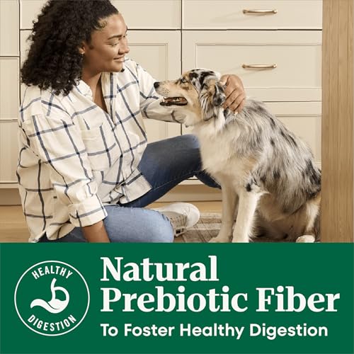 Image of Nutro Natural Choice Small Bites Dry Dog Food, Chicken & Rice, 13 lb