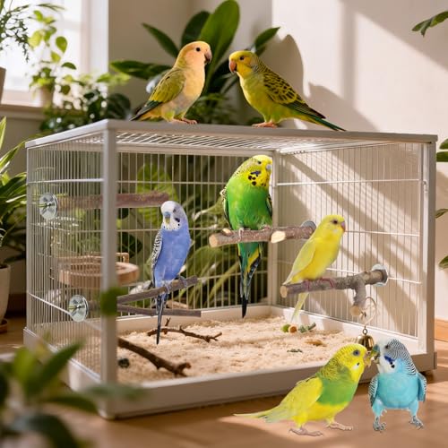 Image of 6 Pack Natural Wood Bird Perches for Cage, Wooden Parrot Perch | Wood Bird Stand Toy, Hardwood Branches, Climbing & Chew Toy for Bird Cage Accessories, Ideal for Parakeets Budgies Cockatiels