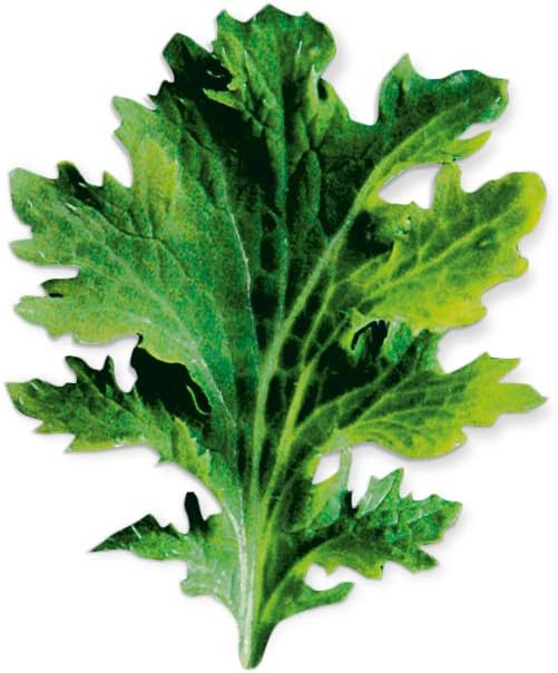 PLANTUI Mustard Wasabina Salad Plant Seeds Capsules Indoor Gardening Smart Garden