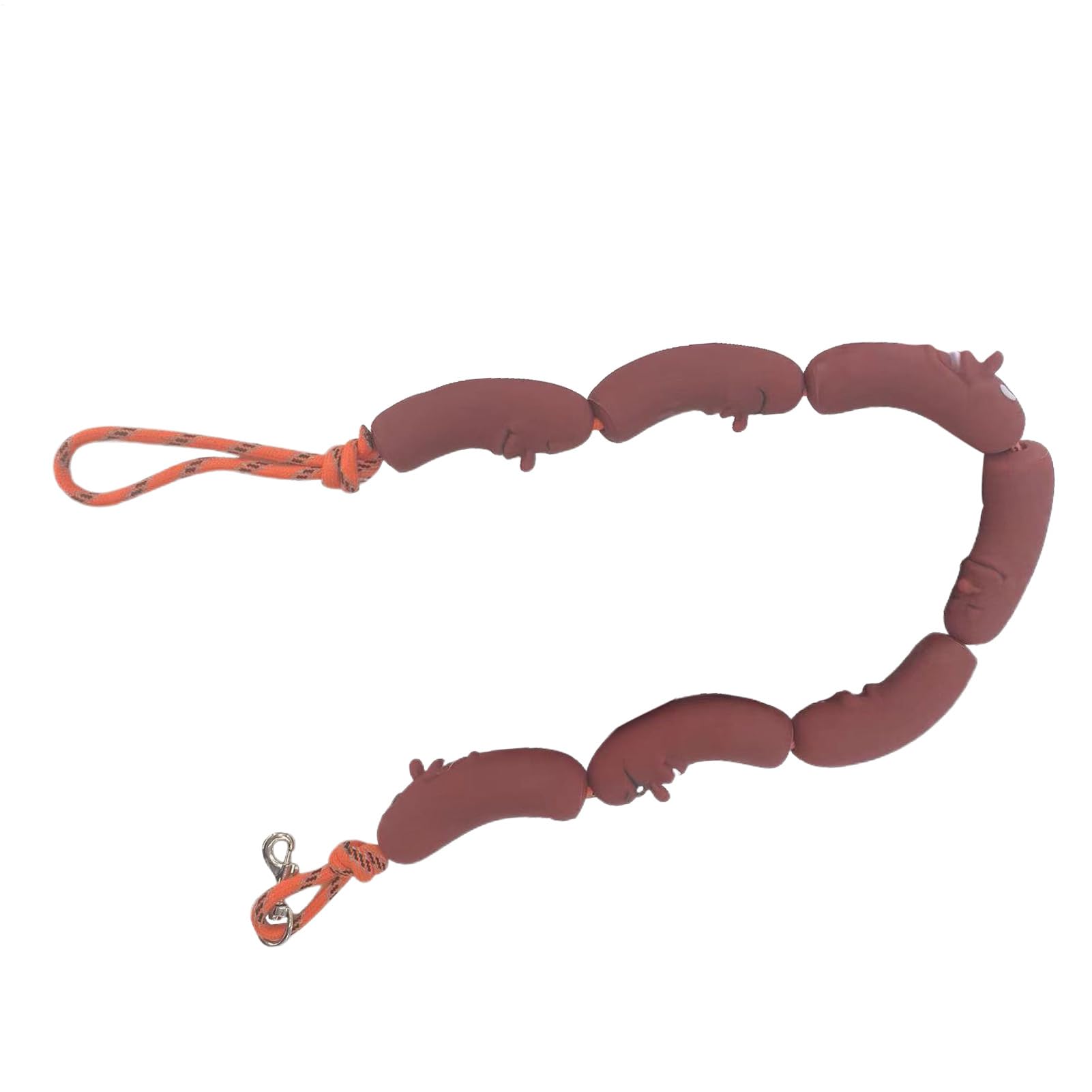 Laisse pour chien anti traction poignée ergonomique pour la randonnée