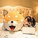 DJSK Gift Husky Doll Doll Cute Plush Toy Girl Boy Bed Holding Sleeping Pillow Doll 100 cm Shiba Inu