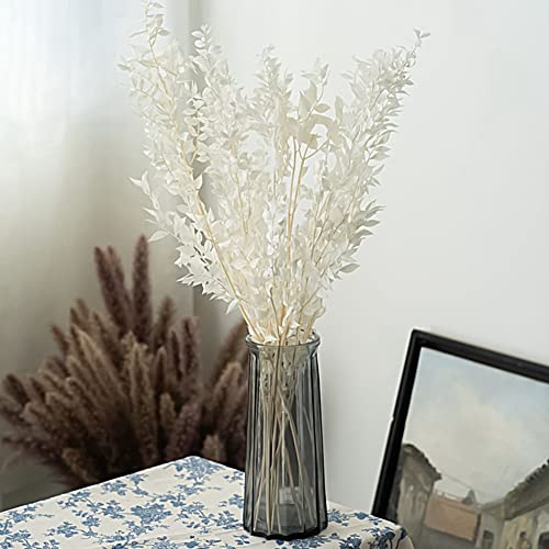 Ramo de Flores Preservadas Dried Ruscus 45 cm Blanco miniatura 7
