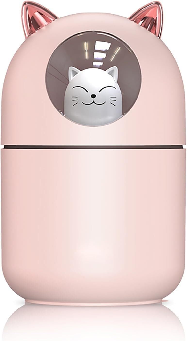Petit humidificateur sans bruit contre l'air sec du bureau et de la maison