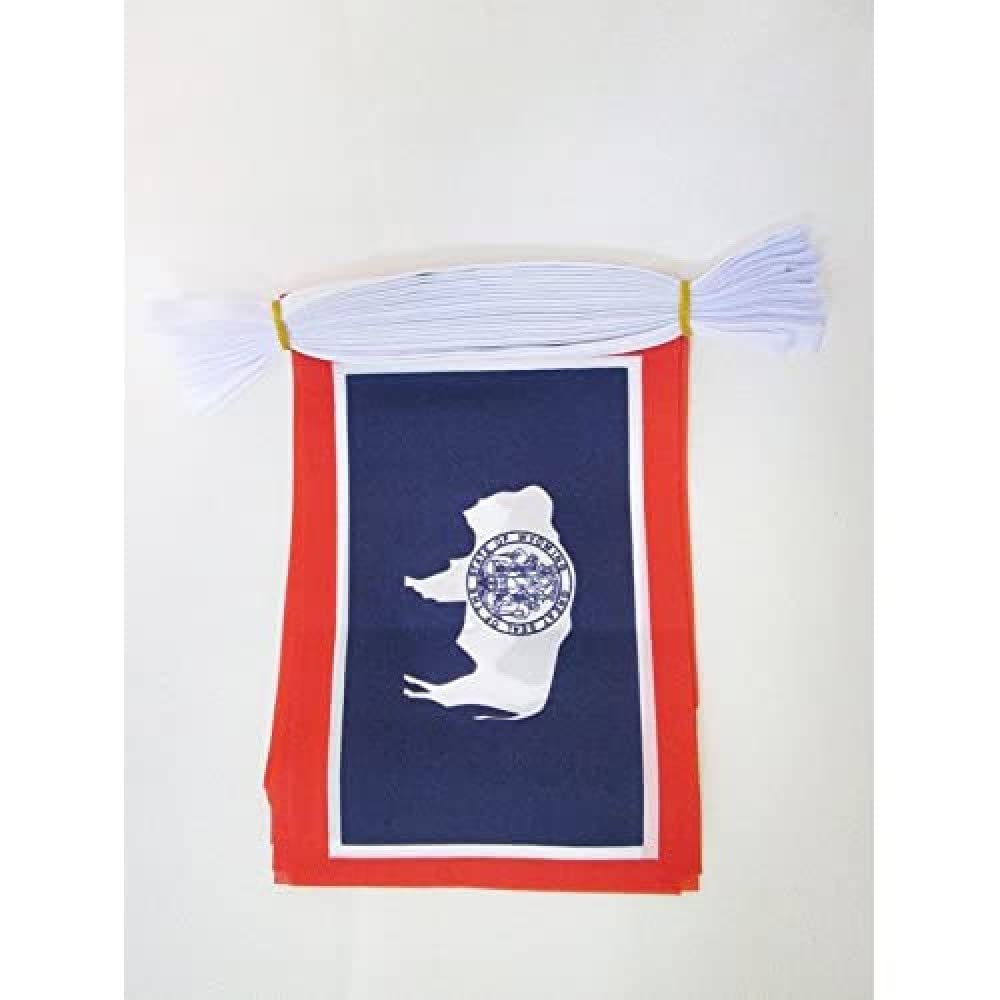 AZ FLAG Wyoming Bunting 20 ft 20 flags Light Polyester