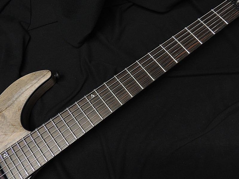 Amazon | Schecter AD-C-1-FR-APOC RG APOCALYPSE Rusty Grey