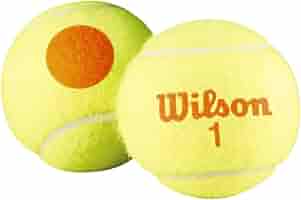 Wilson テニスボール スターターオレンジボール72個 WR173730 51gd-YWzVYL._AC_SY200_QL15_.jpg