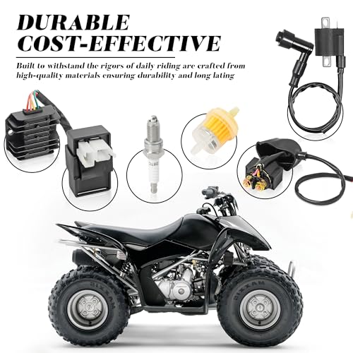 Motos, DVD motos dm 150 Marca LK LEAPING KNIGHT (3)