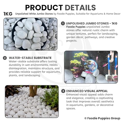 Image of Foodie Puppies Unpolished White Decorative Stones (1Kg, Jumbo Extra Large) (8cm - 12cm) for Garden Landscaping, Swimming Pools, Fish Tanks, Home Decor, Indoor & Outdoor Decorative Pebbles