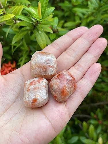 Image of GAF TREASURES 1 /2 LB Sunstone Tumbled Stones, Polished Sunstone Gemstone, Sunstone Healing Crystals (Sunstone)