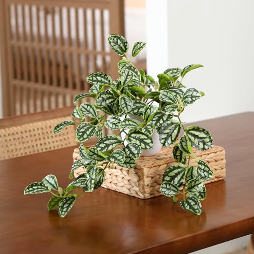 SOGUYI Kunstplant 38 cm kunstplanten kunstplant decoratie modern woonkamer balkon slaapkamer badkamer kamer tafeldecoratie (1 stuks) - Afbeelding 4