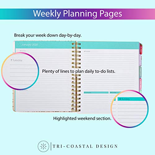 2020 Busy, 12 Month Daily Planners/Calendars: Tri-Coastal Design Planners with Monthly, Weekly and Daily Views - Personal Planner Notebook for Work or Home