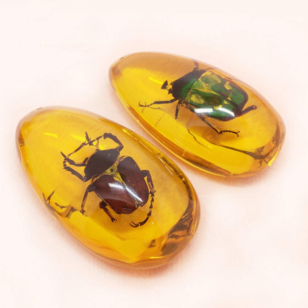 LIOOBO Fósil Ámbar con Muestras de Insectos Piedras Especímenes de Cristal Colección de Decoradores para El Hogar Colgante Ovalado para Niños (Patrón Aleatorio)
