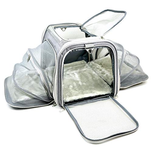 25 Best Rabbit Carrier in 2020 (Reviews and Buying Guide)