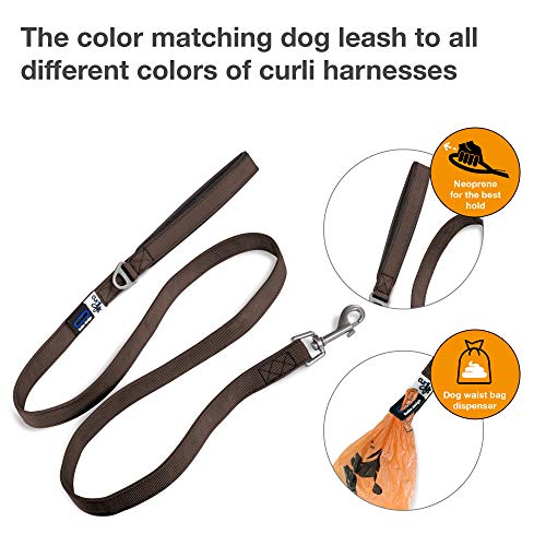 Basic Leash Brown M