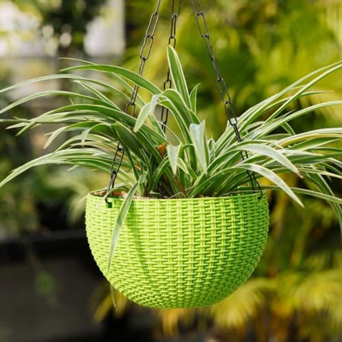 Image of Go Hooked Hanging Plastic Pot | Green | Diameter 7.1 Inch | Height 4.8 Inch | Thickness 3 mm | Chain Length 13 Inch Approx. | 8 Pieces