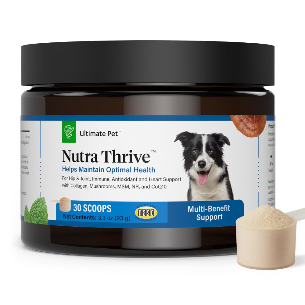 Nutra Thrive Canine, 40-in-1 Nutritional Powder Supplement for Dogs with Digestion and Immune Support, Vitamins, Minerals, Probiotics, Enzymes, 30 Scoops