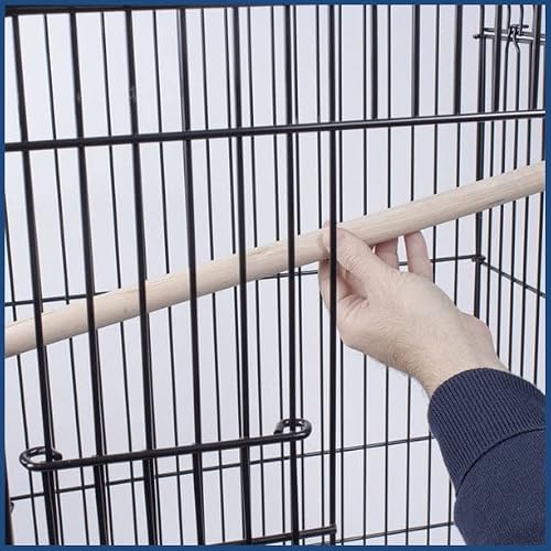 Penn-Plax Conure & Small Parrot Starter Kit With Birdcage And Accessories – Great For Cockatiels, Conures, And Small Parrots – Square Dome – Black #TOP4