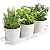Barnyard Designs Indoor Herb Garden Planter Set with Tray, Metal Windowsill Plant Pots with Drainage for Outdoor or Indoor Plants, Set/3 (White)